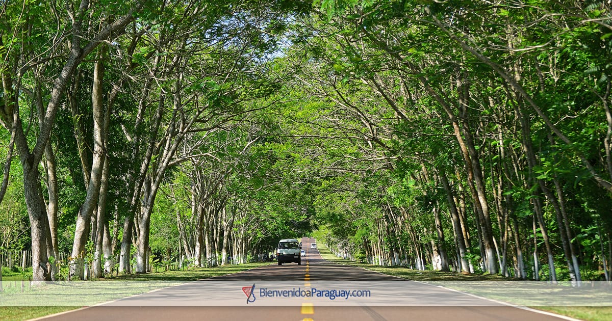 Ruta local con cobertura de internet