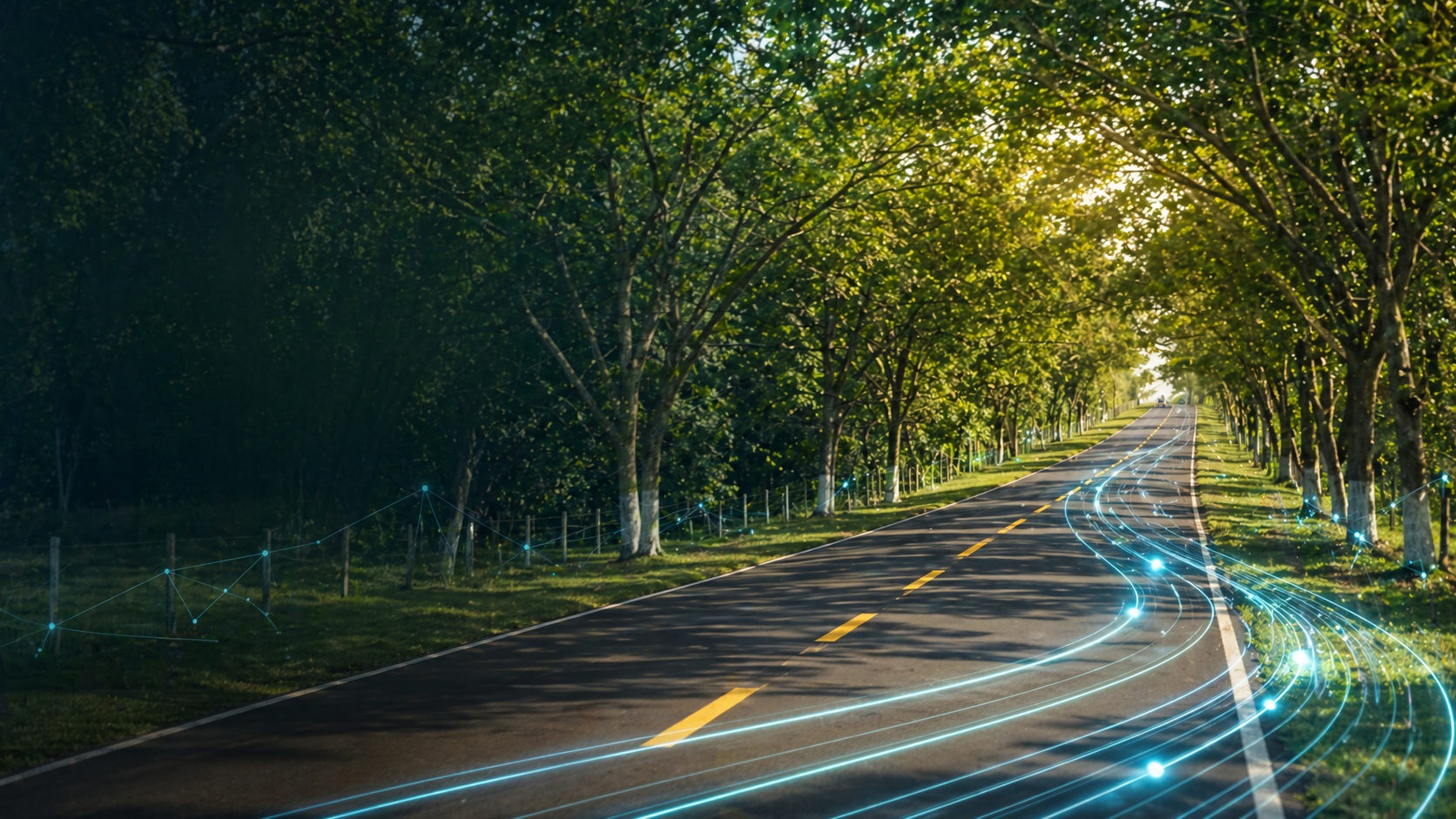 Ruta arbolada conectada con tecnologia de internet de alta velocidad